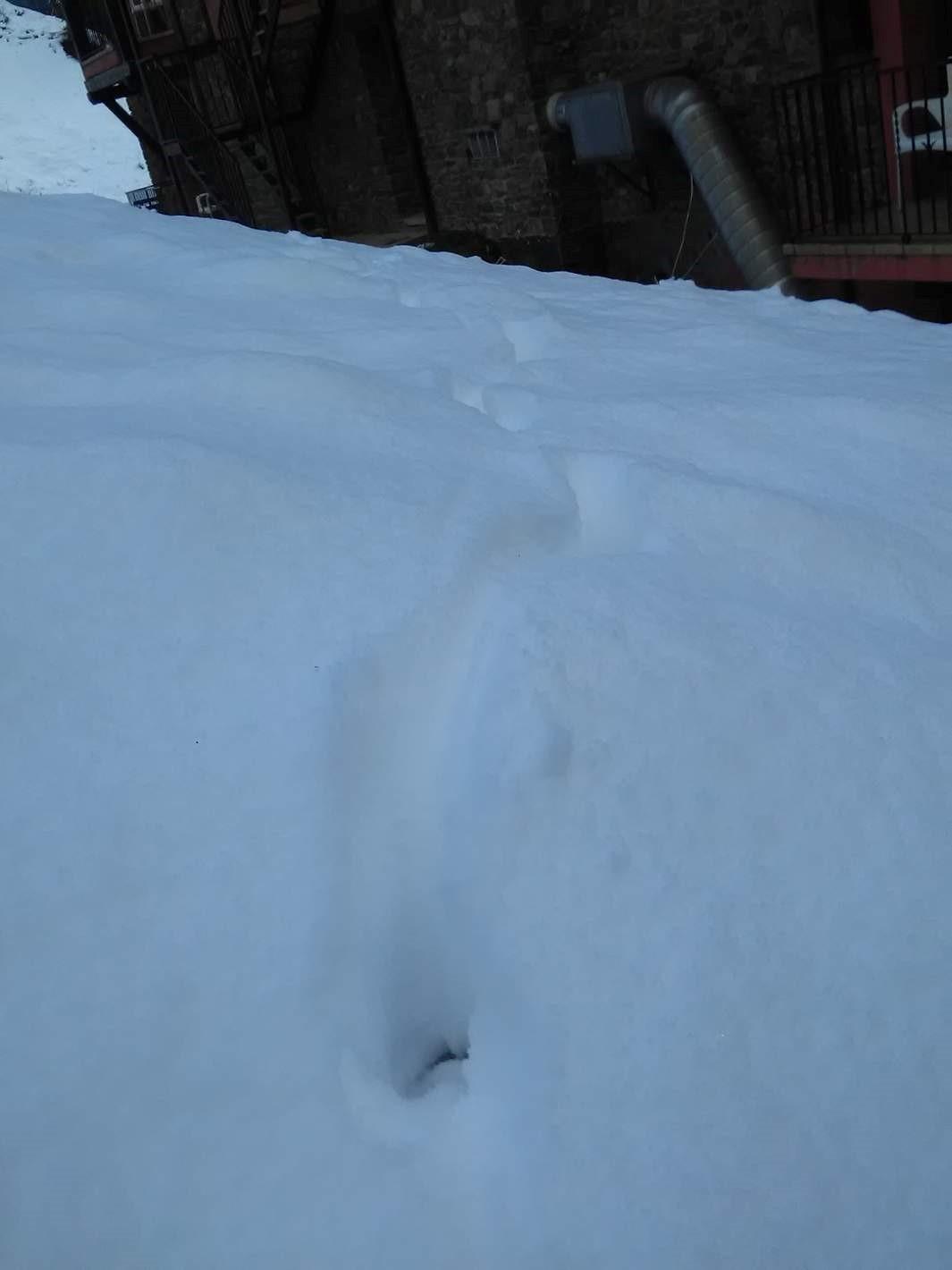 Xalet Besoli Arinsal Bagian luar foto